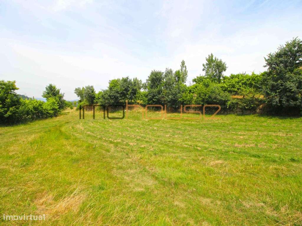 Quinta do séc. 18 - Amarante-36