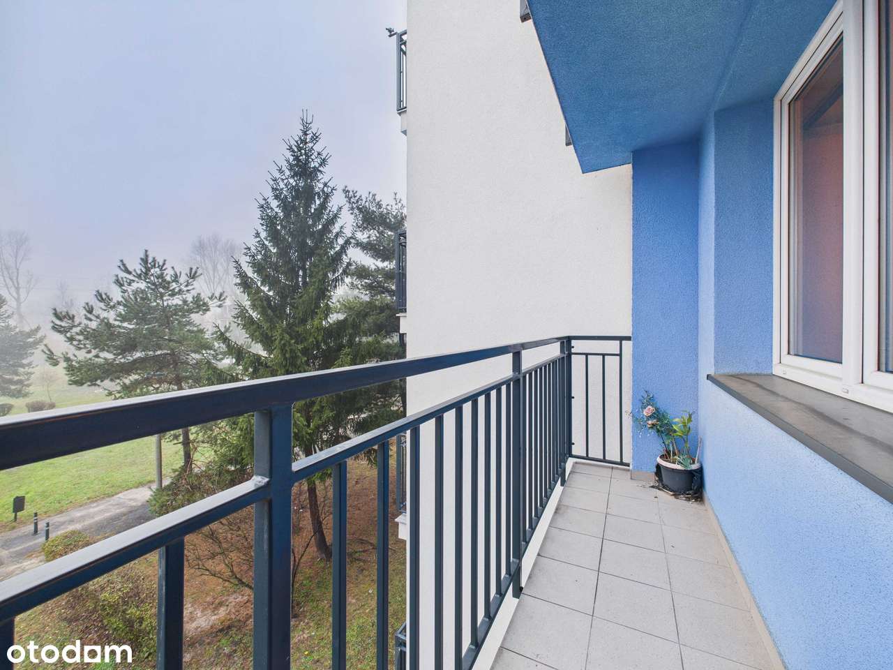 Sosnowiec Naftowa 2 Pokoje 50m + Balkon 2 Piętro z 8 Winda Od 1 Piętra-1