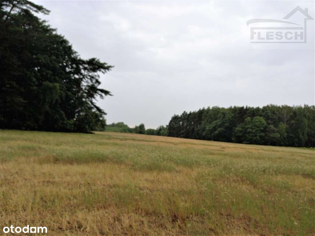 Bardzo ładna działka 12ha  Podlindowo Gm Mszczonów-15