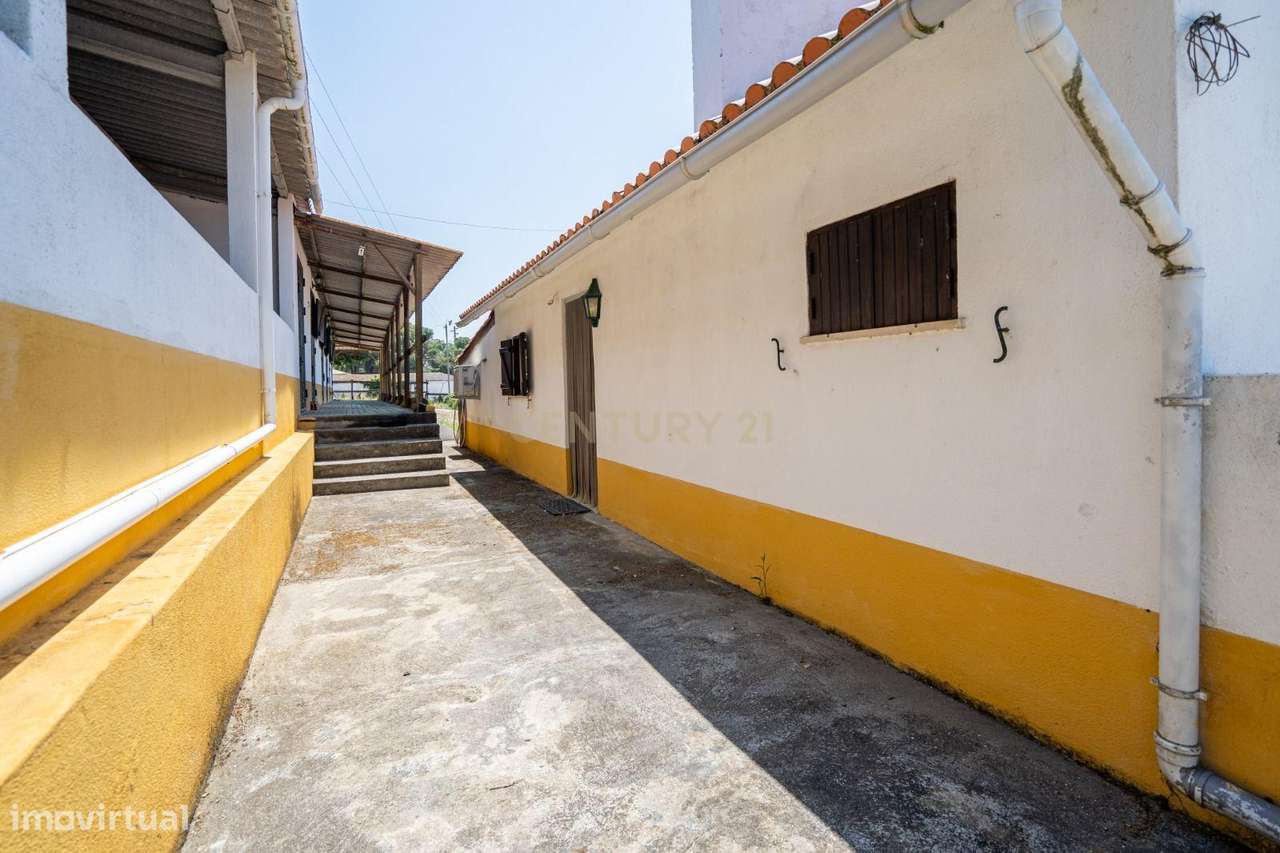 Quinta Equestre a 45 minutos de Lisboa-10