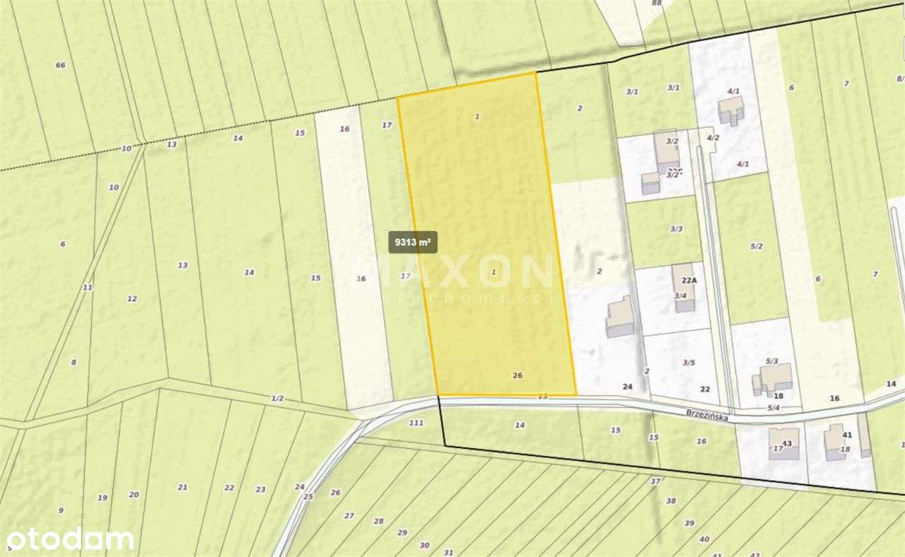 ❗❕ Działka z potencjalem - Nowy Konik 0,93 ha ❕❗ - Pełny obrazek: 5/10