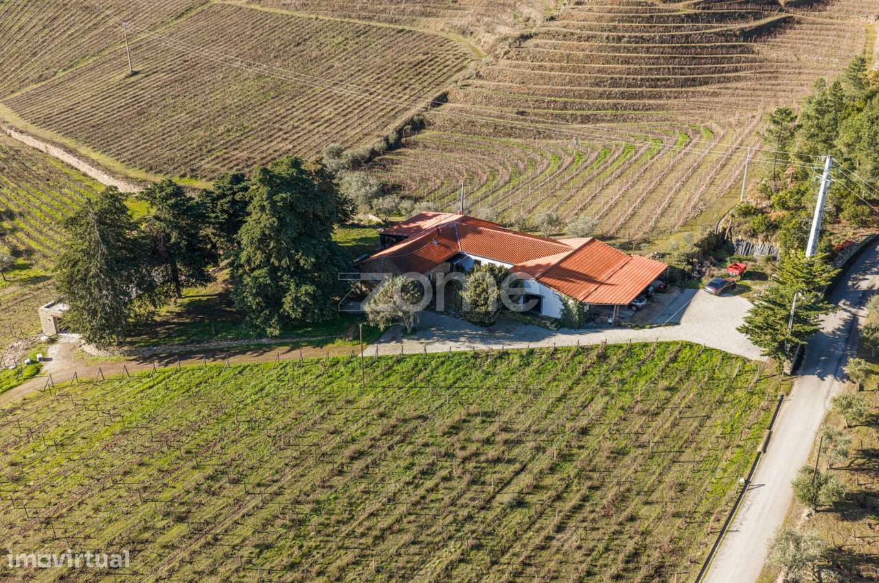 Quinta Com 14 Hectares Em Pleno Douro Vinhateiro