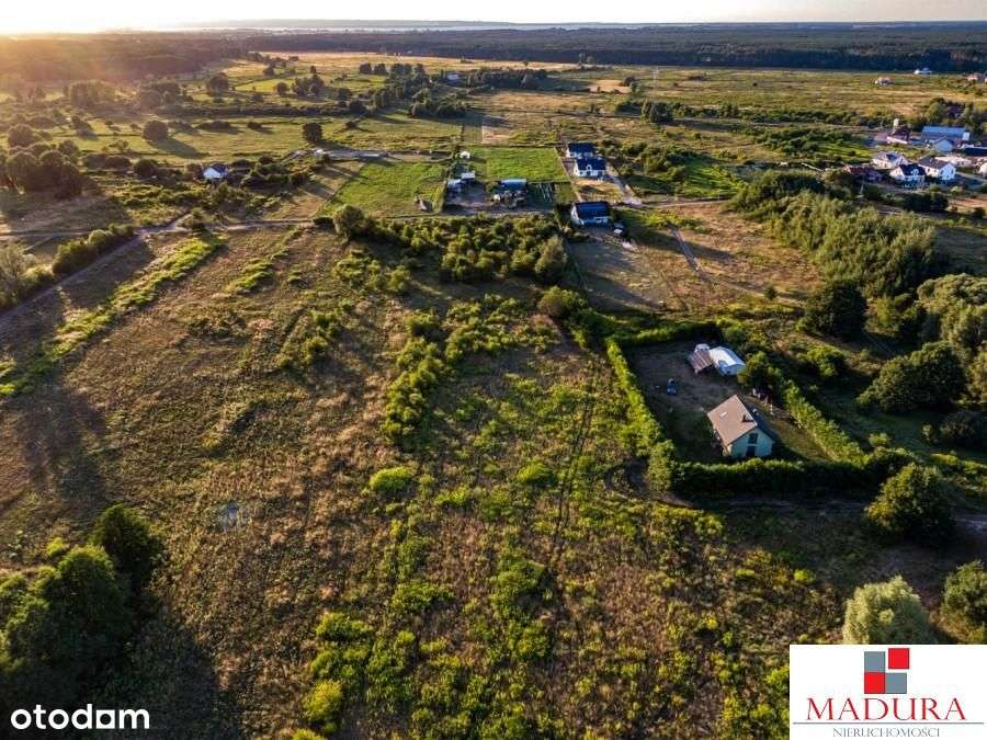 Wielgowo- Działka z pozwoleniem na budowę domu - Pełny obrazek: 2/5