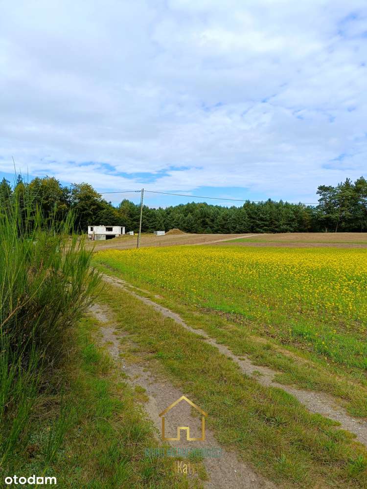 Strzebielino, działka 2034m2 z domkiem całorocznym-16