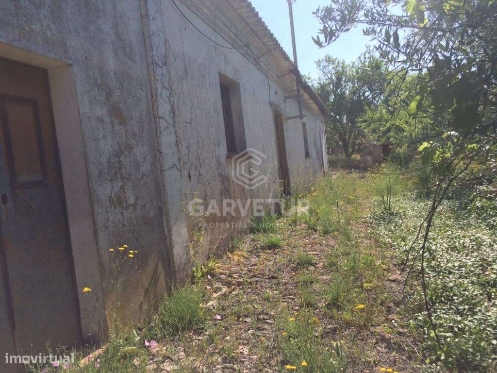 Moradia em ruina para recuperar, Querença, Algarve - Grande imagem: 2/12