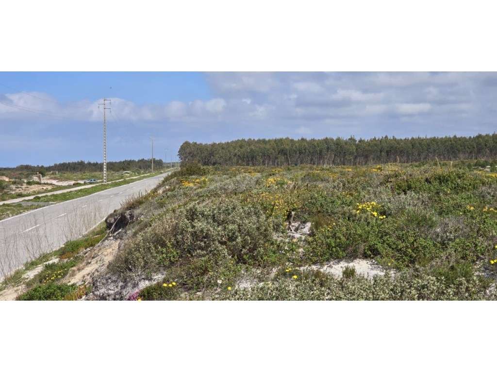 Terreno inserido em zona Florestal com vista - Grande imagem: 2/10