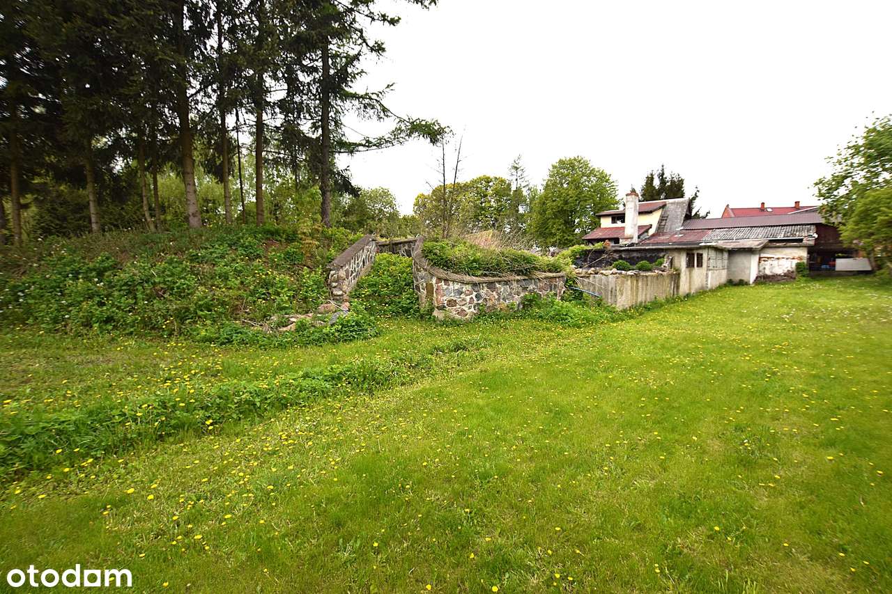 Siedlisko w Nowym Dworze,gmina Jedwabno. Atrakcyjna cena !!!-10