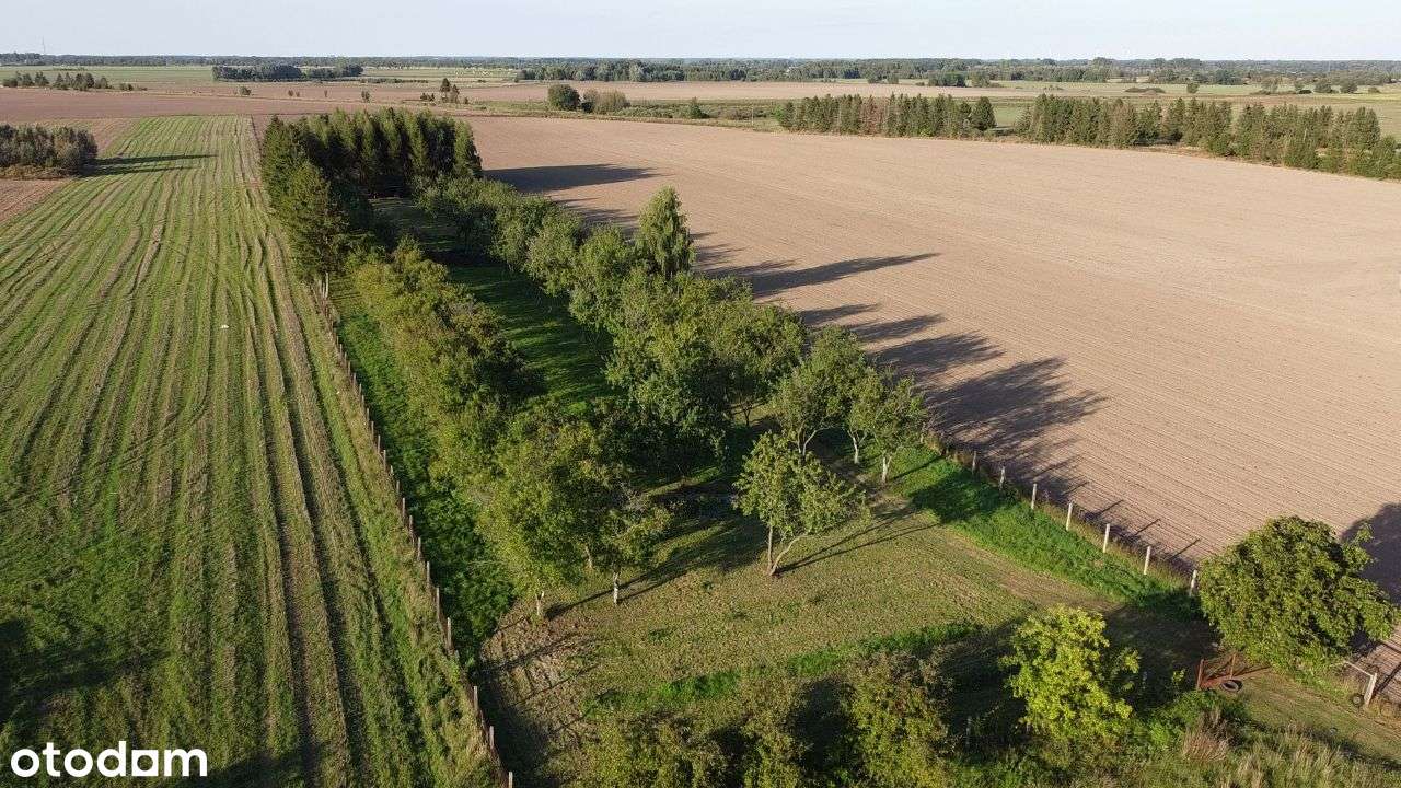 Działka budowlano-rekreacyjna Jarszewo - Pełny obrazek: 2/20