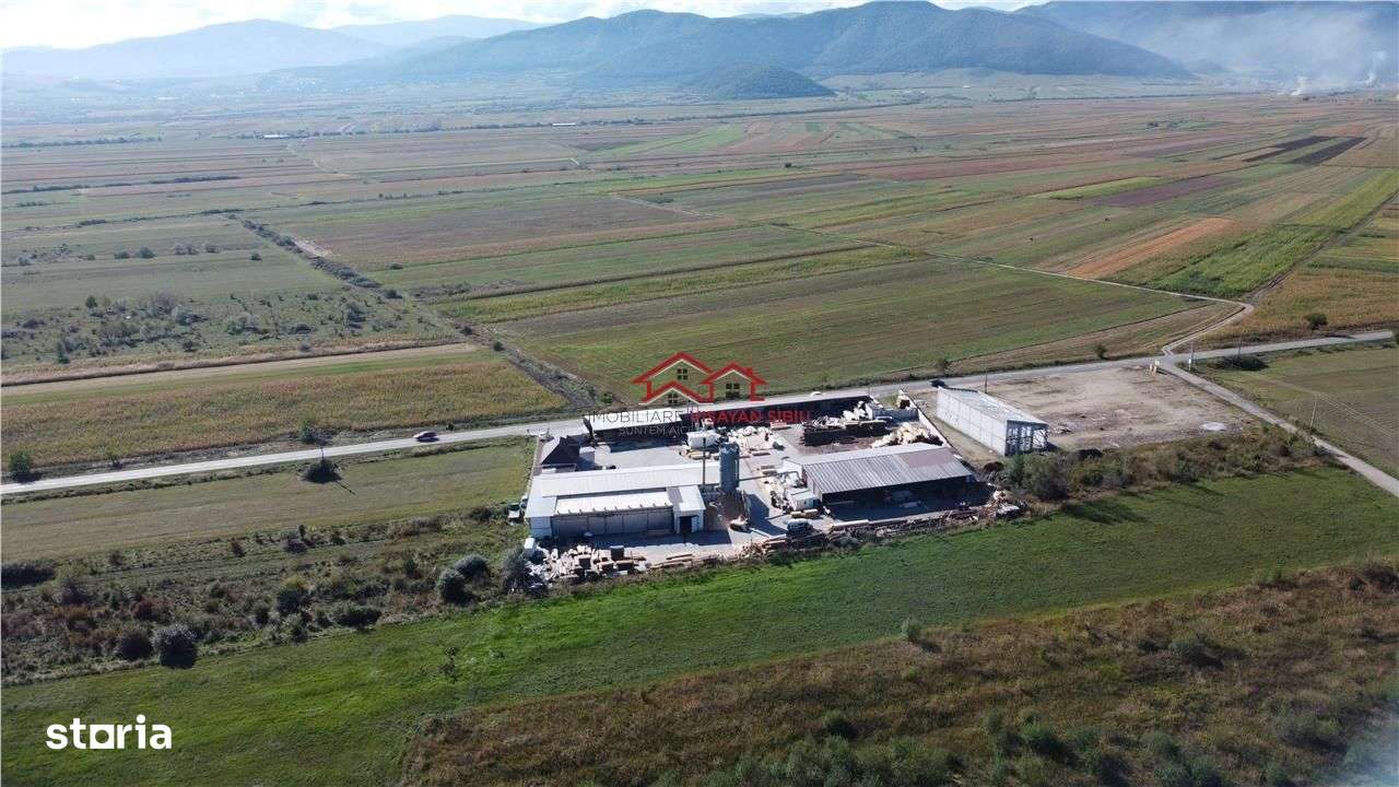 Oportunitate investi&#539;ie prelucrare lemn, Cristian,jud.Sibiu-5