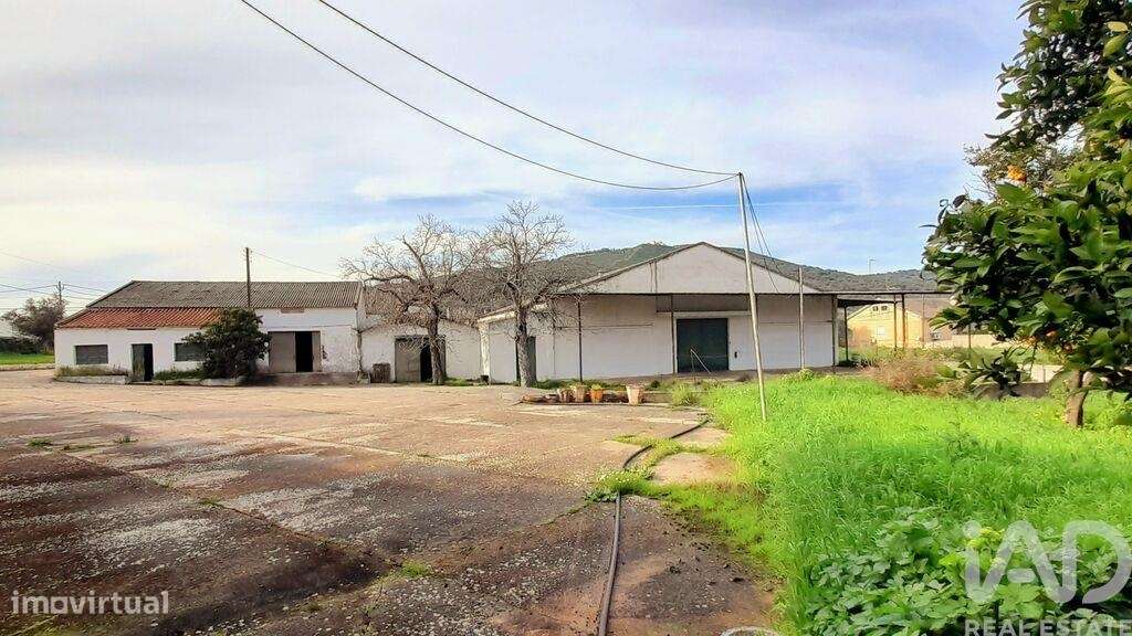 Hangar em Caia, São Pedro e Alcáçova de 200,00 m2 - Grande imagem: 5/12