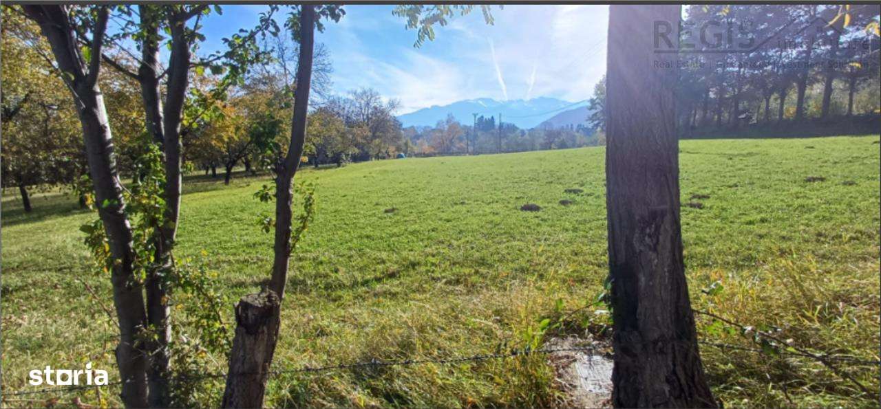 Teren intravilan zona Bran,Tohanita - Imagine principală: 5/15