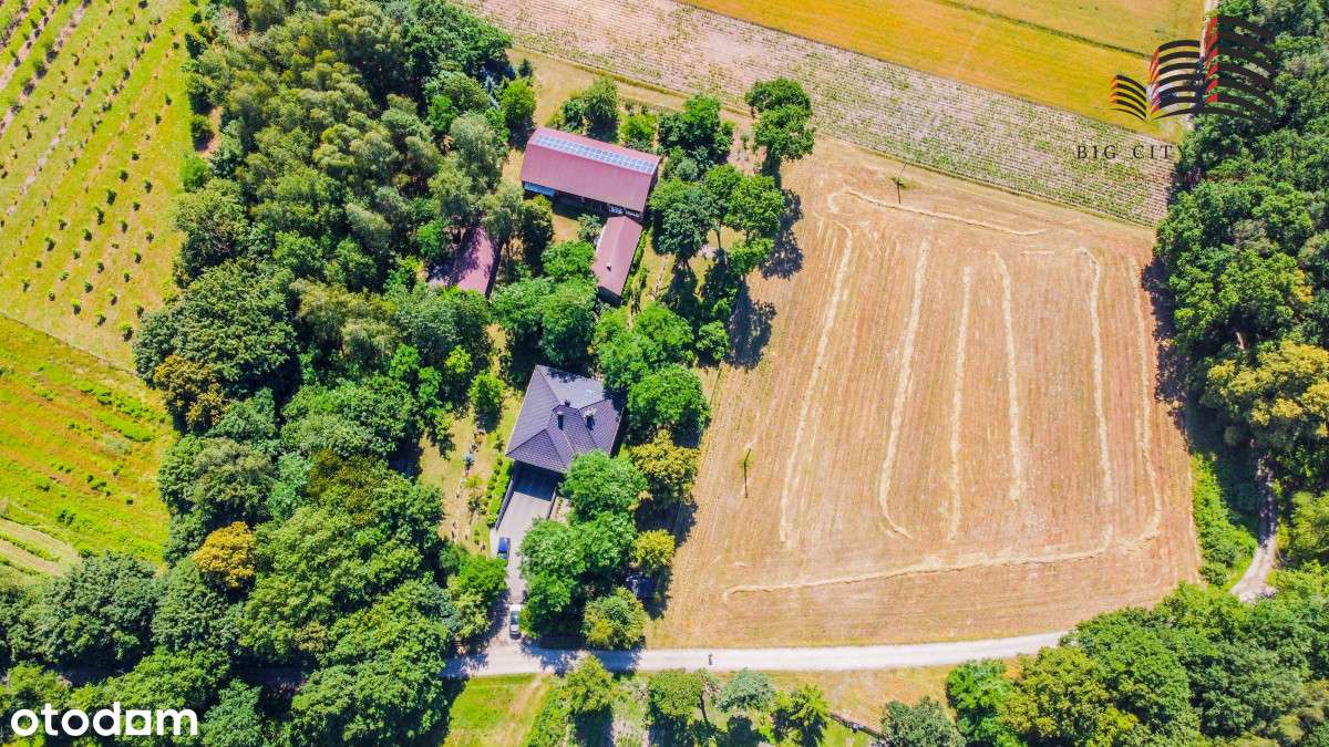 Dom z dużą działka i ogrodem - Łąkoć - Pełny obrazek: 4/20