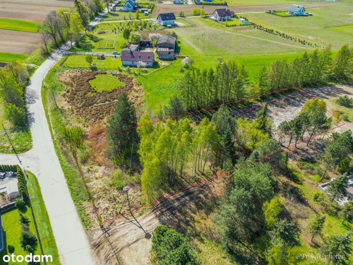 Przyjaźń ul Jeziorna - działka z drzewami. - Pełny obrazek: 4/5