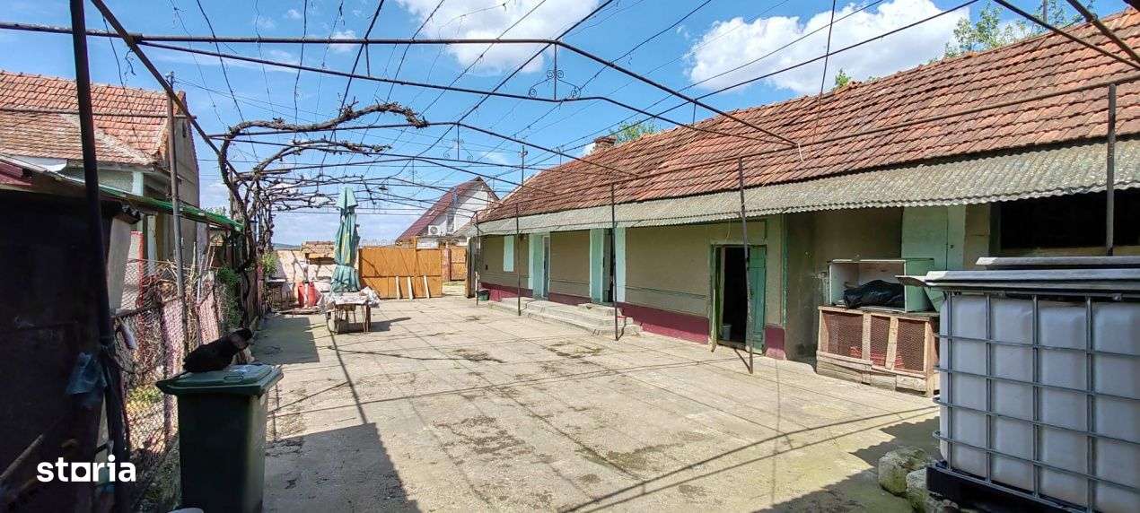 Casa si teren generos – sat Ciuhoi, comuna Saniob, judetul Bihor-3