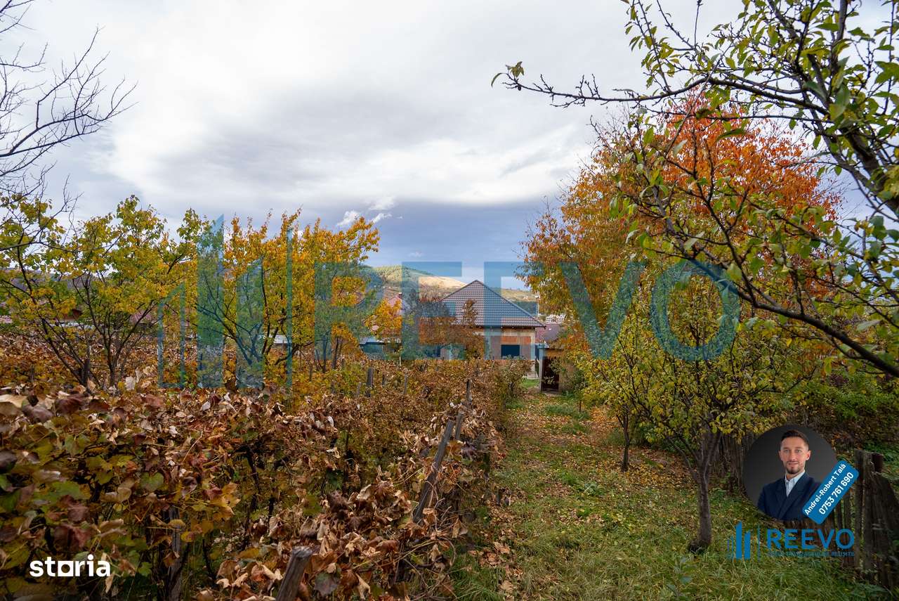 Casa de vânzare, strada Paun Pincio nr. 5, Moinești-2