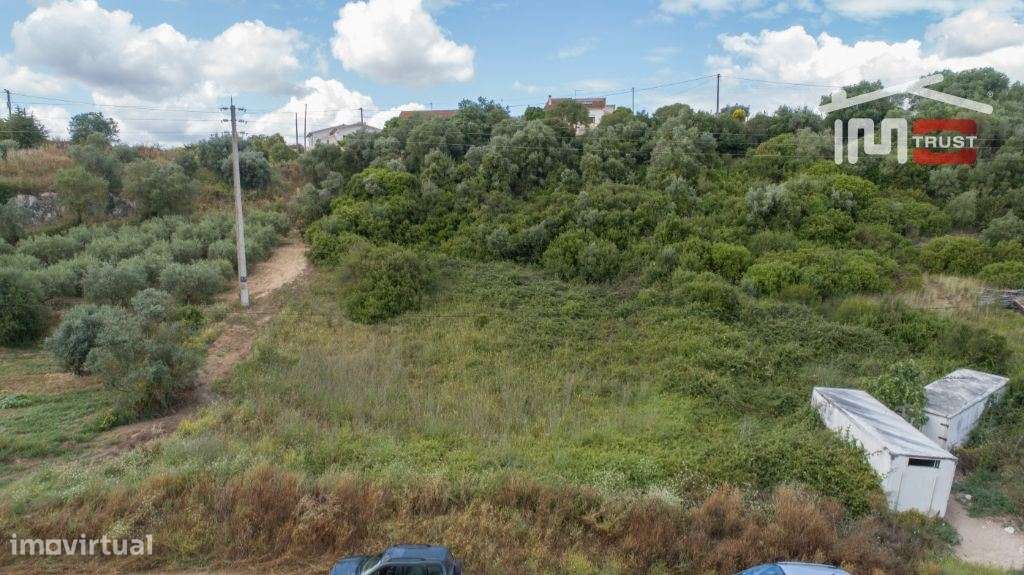 Terreno Rústico - Almoster - Grande imagem: 2/7