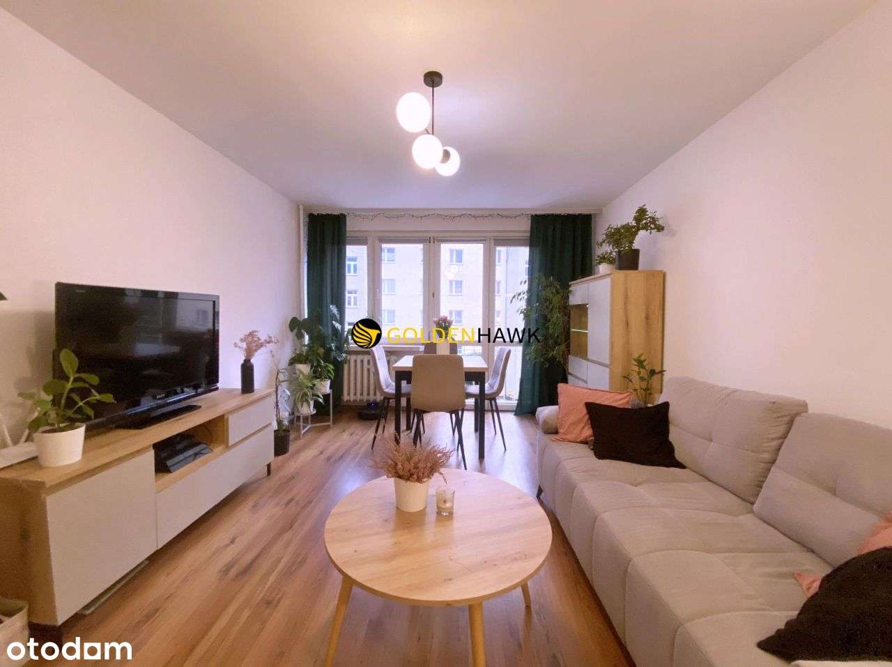 2 pokoje 47 m² z nową kuchnią - Niemcewicza Szczec - Pełny obrazek: 2/18