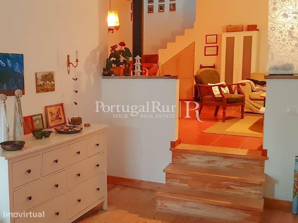 Quinta Rural 8.000 m2 - 2 Casas Habitáveis - confina com Ribeira-17