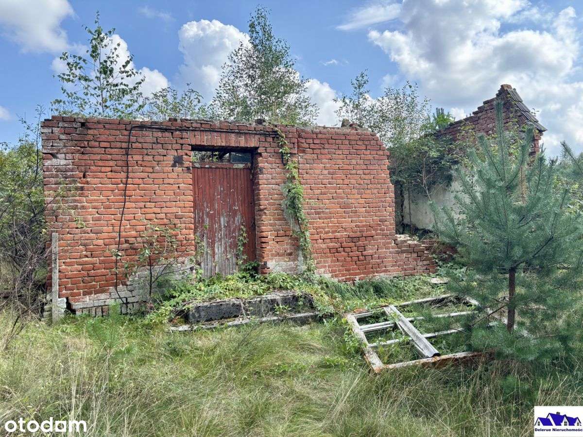 Siedlisko w sąsiedztwie lasu-9