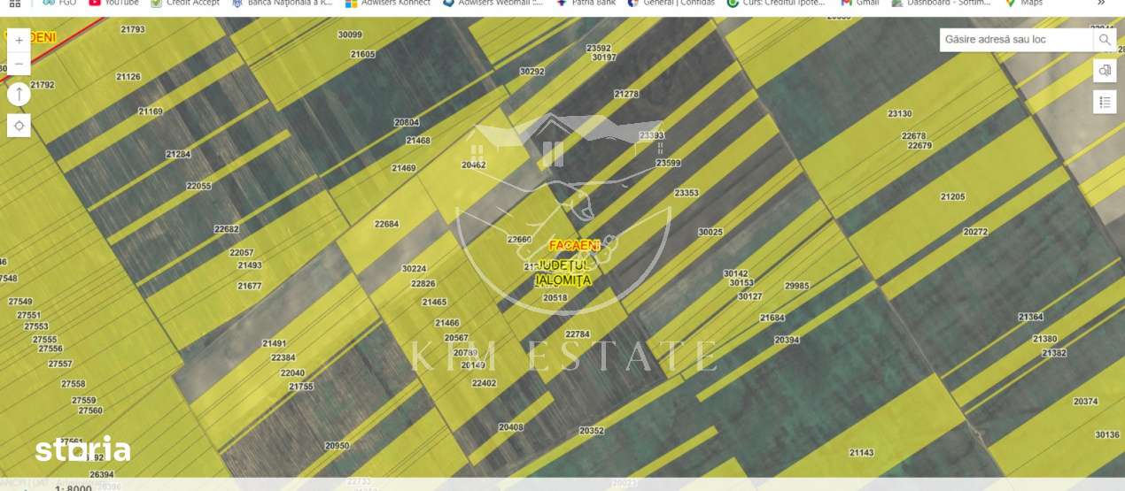 De vanzare 200 hectare Facaeni Ialomita - Imagine principală: 1/2