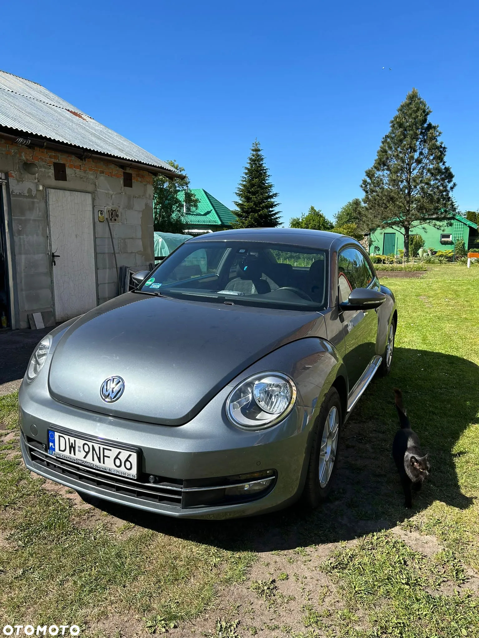 Volkswagen Beetle - 2