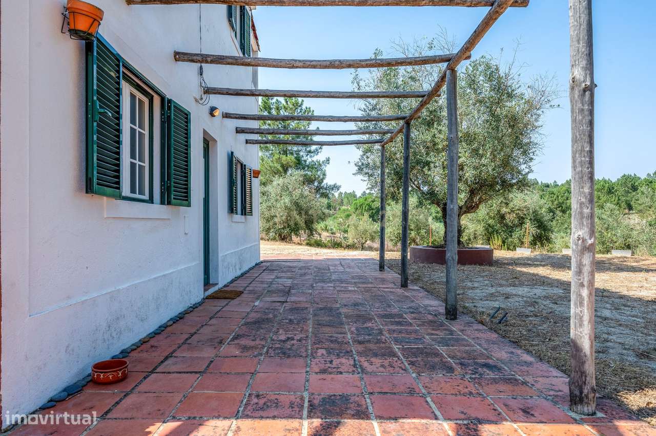 Moradia em Farinha Branca, Montargil-22