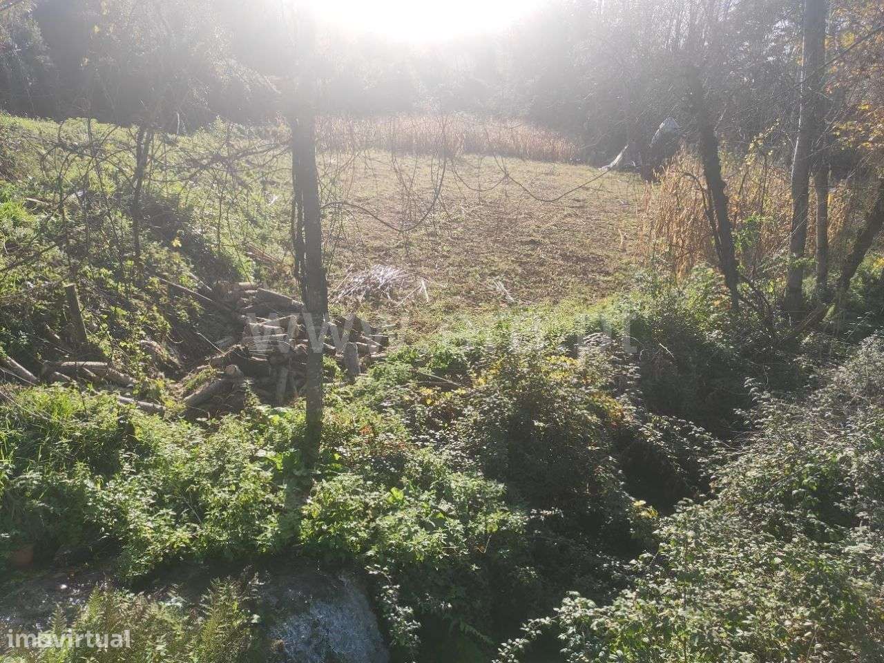 Terreno em Fornelos - Grande imagem: 2/9