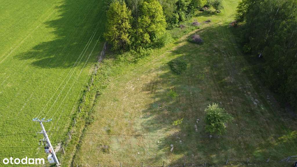 Na sprzedaż działka budowlana -Goździk, gm. Górzno - Pełny obrazek: 3/8