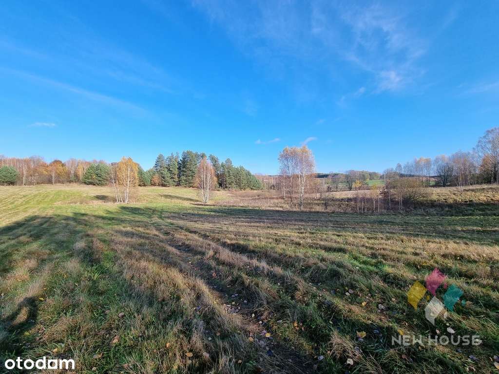 Okazja - działka pod siedlisko, las, staw - Pełny obrazek: 4/8