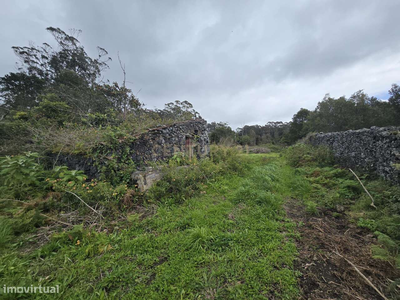 Terreno, 7 920 m², Rosto de Cão (Livramento) - Grande imagem: 5/11