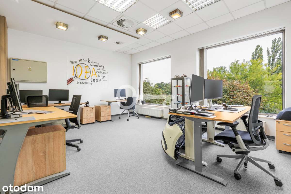 Lokal biurowo-usługowy 248 m² | centrum I Parking - Pełny obrazek: 5/17