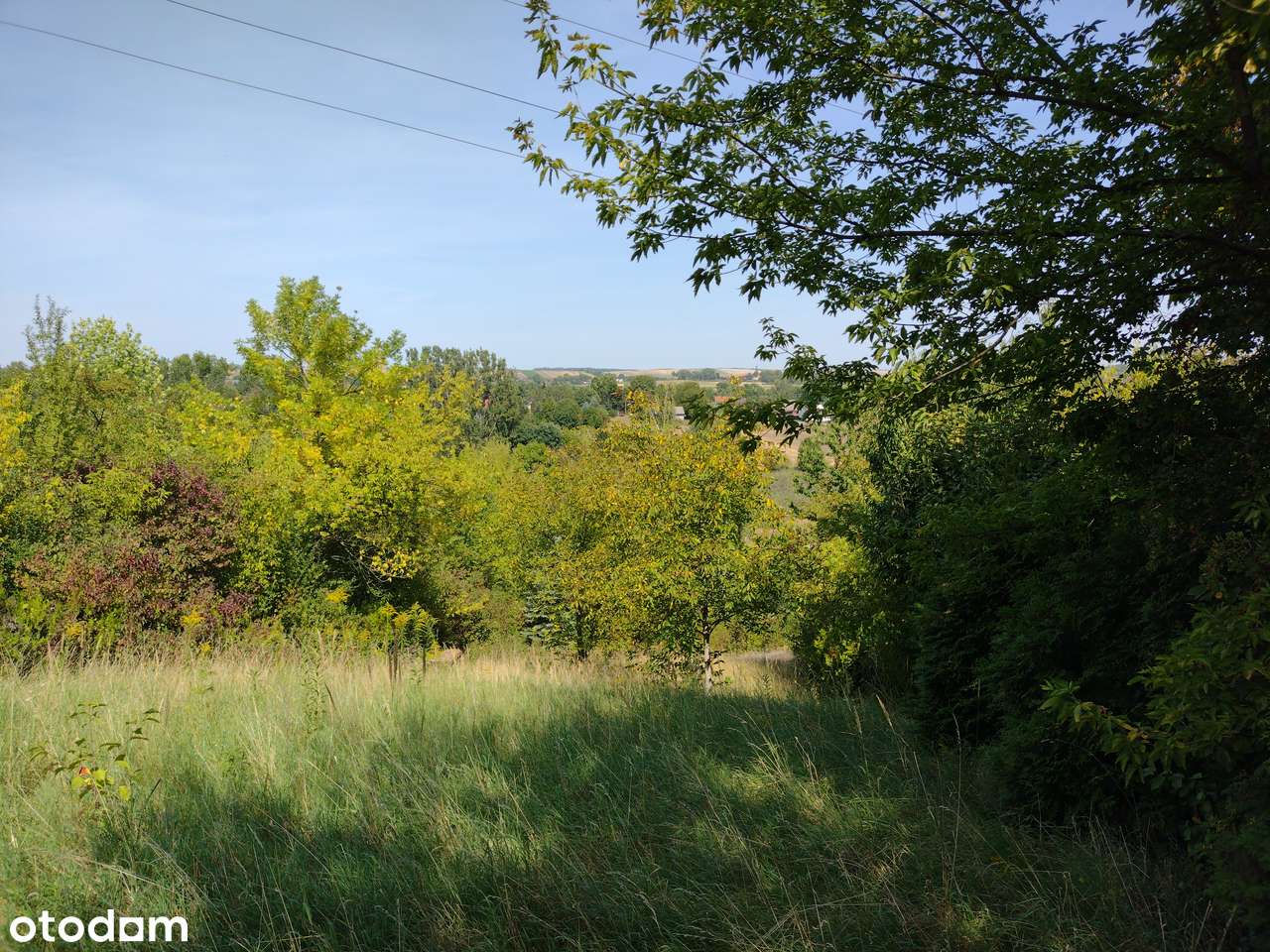 Działka budowlana Prandocin-Wysiołek-5