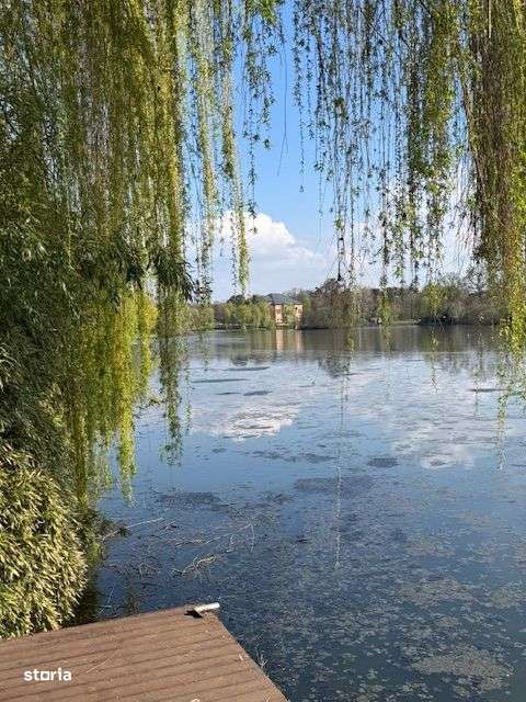 Vila Exclusivista Mogosoaia Lac-12