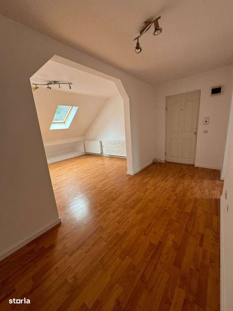 Apartament spatios zona Stefan cel Mare-12