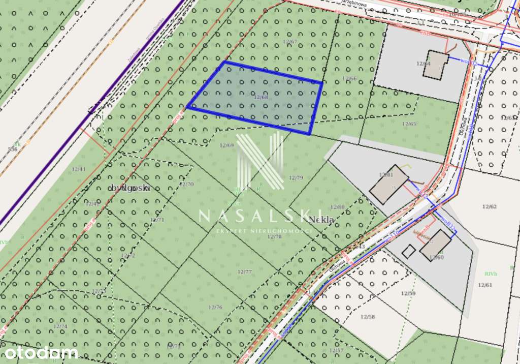 Jeżynowa / Mpzp / Dobrcz - Nekla 12/68-3