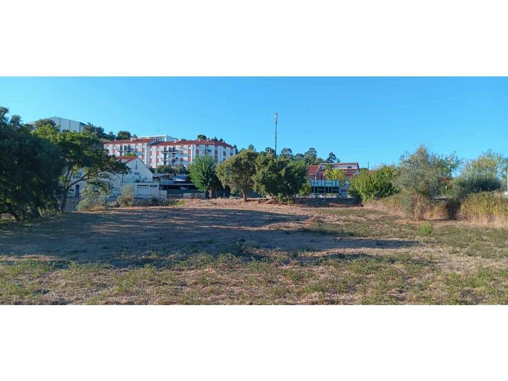 Arrendamento de Terreno Rústico - Mação (1.960 m²) - Grande imagem: 5/7