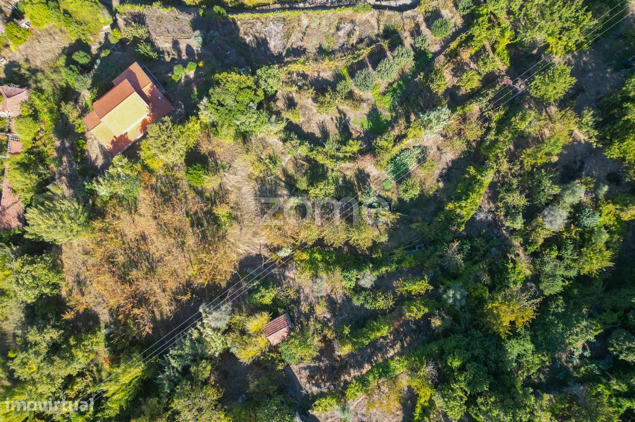 Terreno Rústico com Vistas Deslumbrantes para o Rio Douro - Grande imagem: 2/20