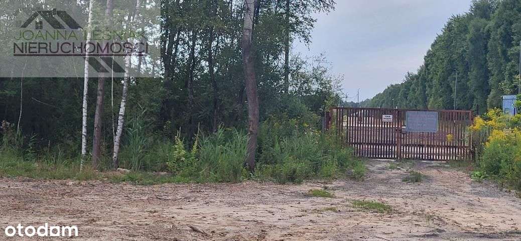 Działka, 15 584 m², Sławków - Pełny obrazek: 3/10