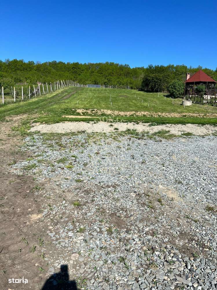 2 Parcele intravilane de 900 mp-utilitati-ideal casa-Viile cu Pomi - Imagine principală: 5/6