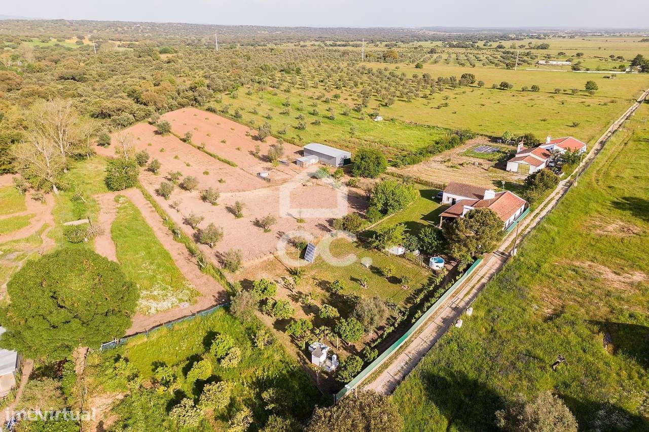 Quinta de 9250m2 c/ Moradia T4 térrea, anexo e armazém | Azaruja-55