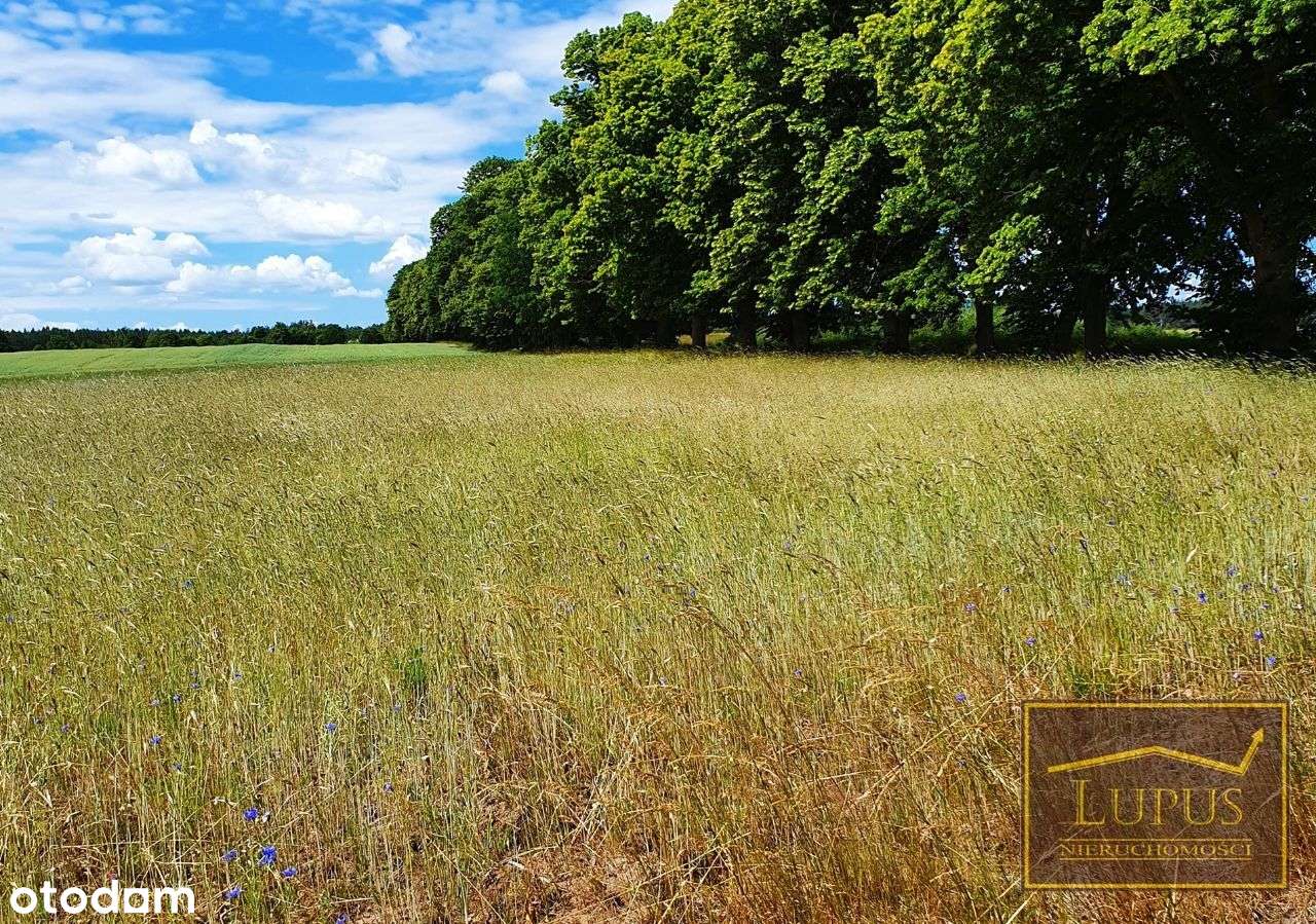 Działki budowlane w Czertyniu - Pełny obrazek: 4/13
