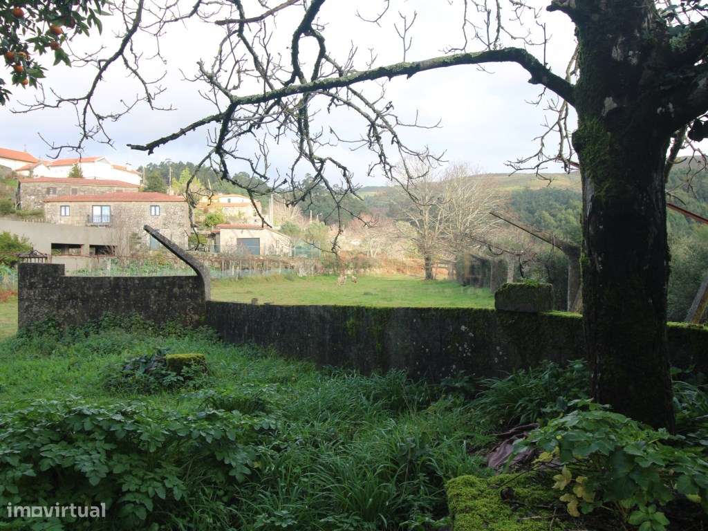 Moradia - Grande imagem: 4/20