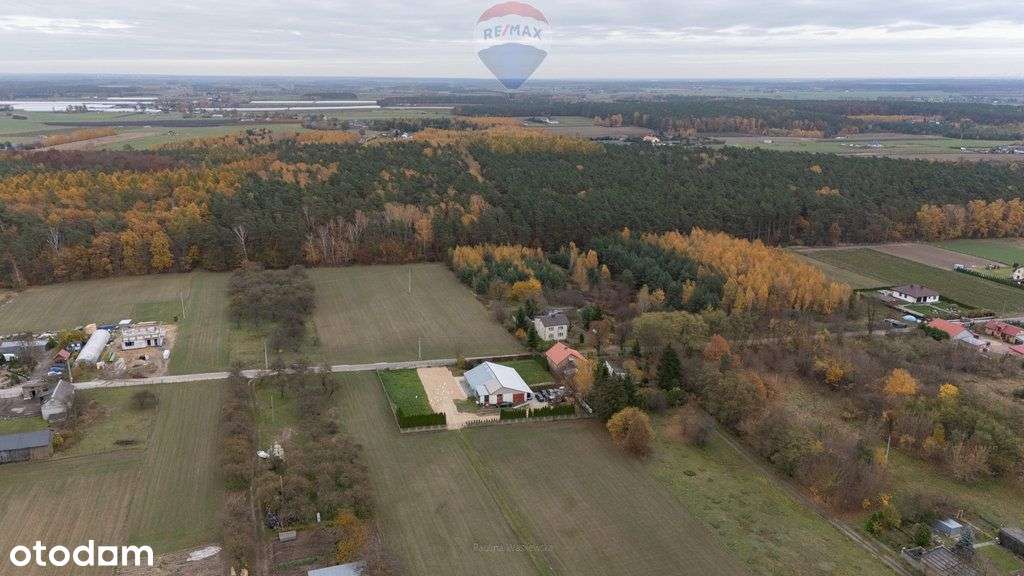 Działka pod lasem Załuski - Pełny obrazek: 4/9