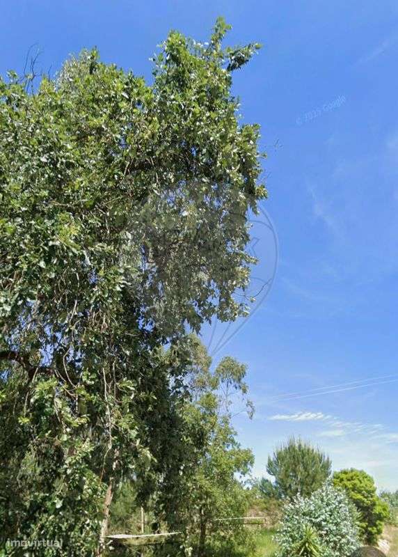 Terreno  para venda - Grande imagem: 5/5