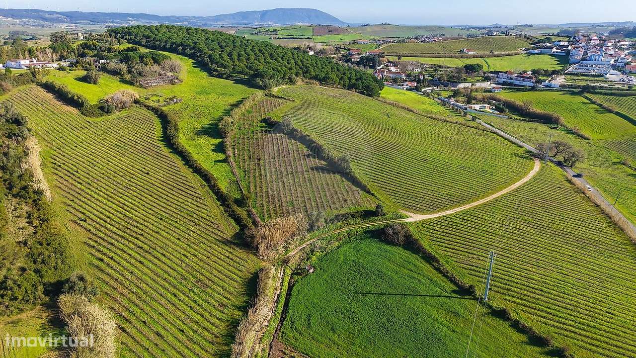 Terreno  para venda - Grande imagem: 5/12