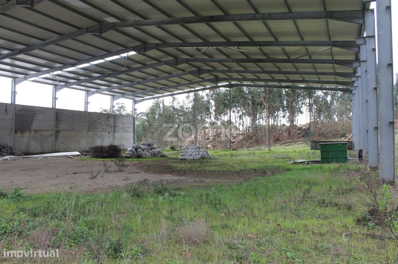 Terreno de 8.000 m2 com 2 Armazéns em Famalicão - Grande imagem: 5/30