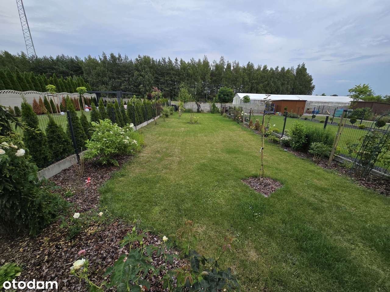 Dom w zabudowie szeregowej na sprzedaż - Pełny obrazek: 4/15