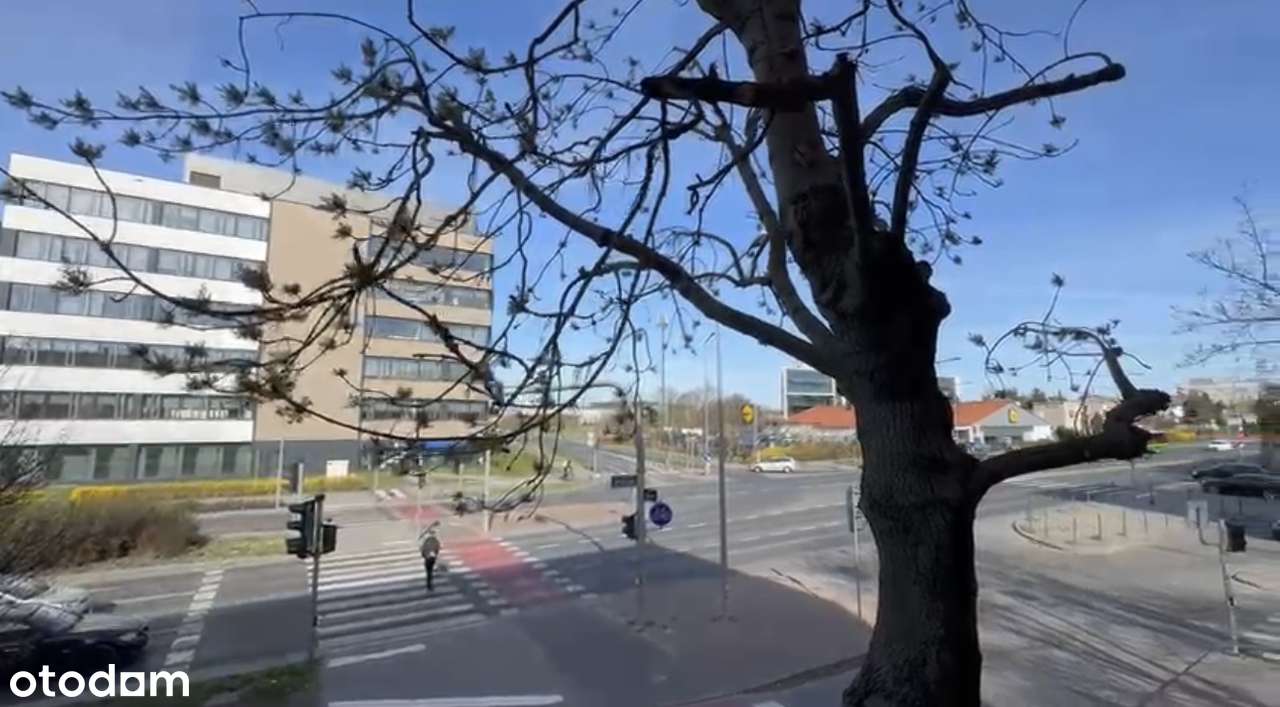 3-pokojowe mieszkanie z balkonem na Grunwaldzie - Pełny obrazek: 1/20