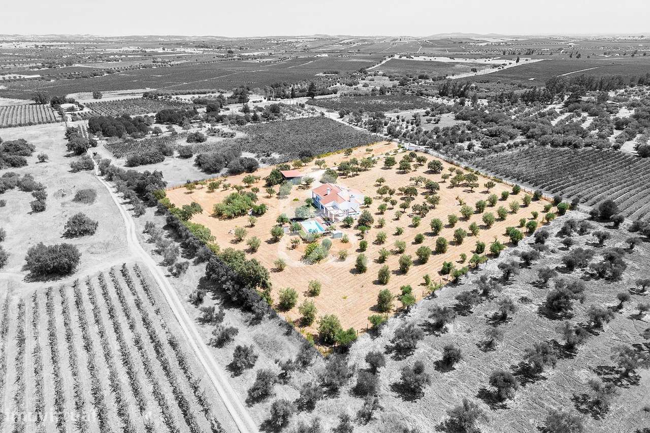 Quinta de 1,29 ha c/ Moradia T4 e Piscina | Reguengos de Monsaraz, Évo - Grande imagem: 5/60