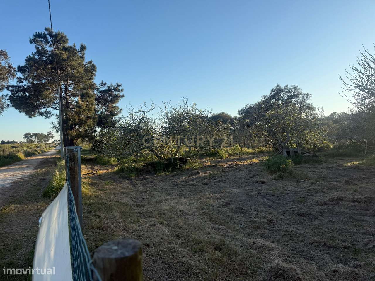 Encantadora Propriedade para Recuperação - Terreno de 4000 m2 - Grande imagem: 5/15